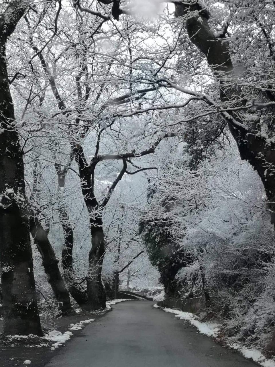 To Greki 호텔 Livartzi 외부 사진